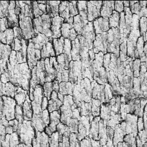 Run-Length Matrices For Texture Analysis