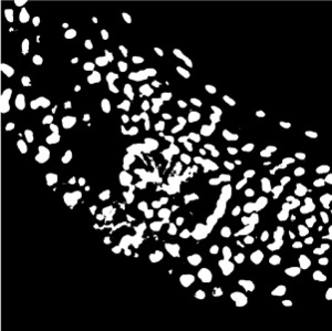 An Adaptive Thresholding Image Filter